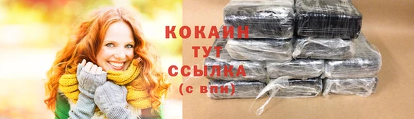 шишки Балахна