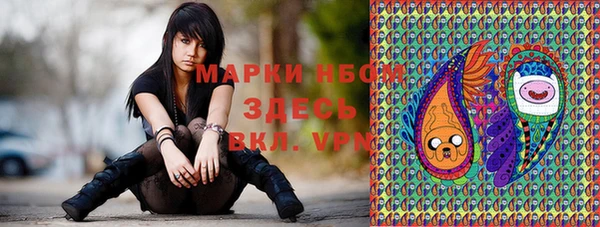 дмт Аркадак