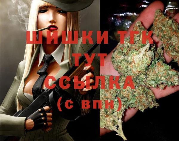 шишки Балахна