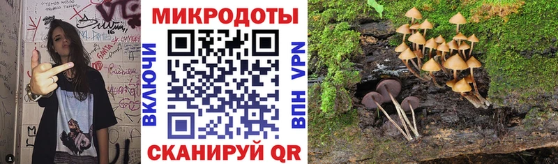 Псилоцибиновые грибы GOLDEN TEACHER  Устюжна 